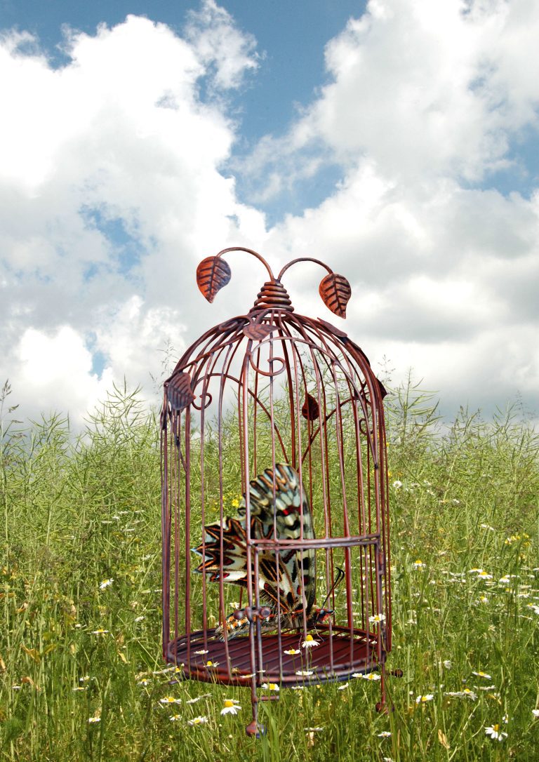 Umelecká fotokoláž klietky uprostred lúky s motýľom vo vnútri, symbolizujúca uväznenú dušu v rýchlom svete.